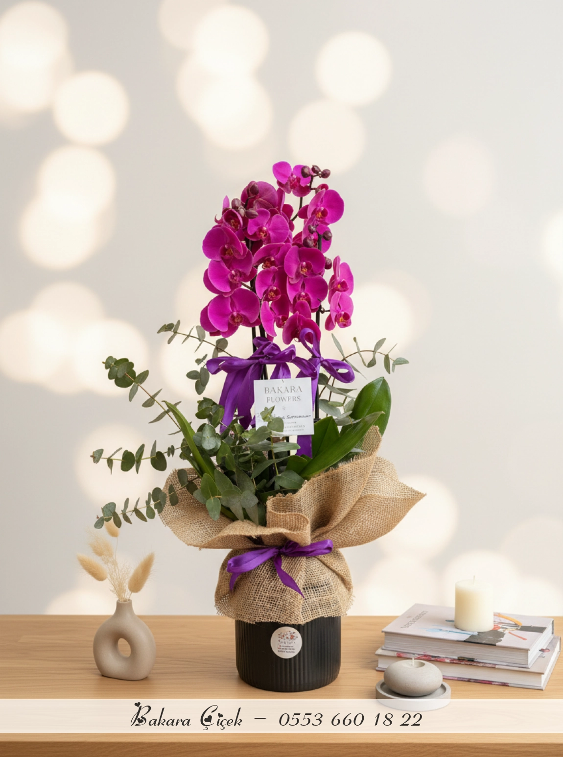 4 Dallı Premium Mor Orkide