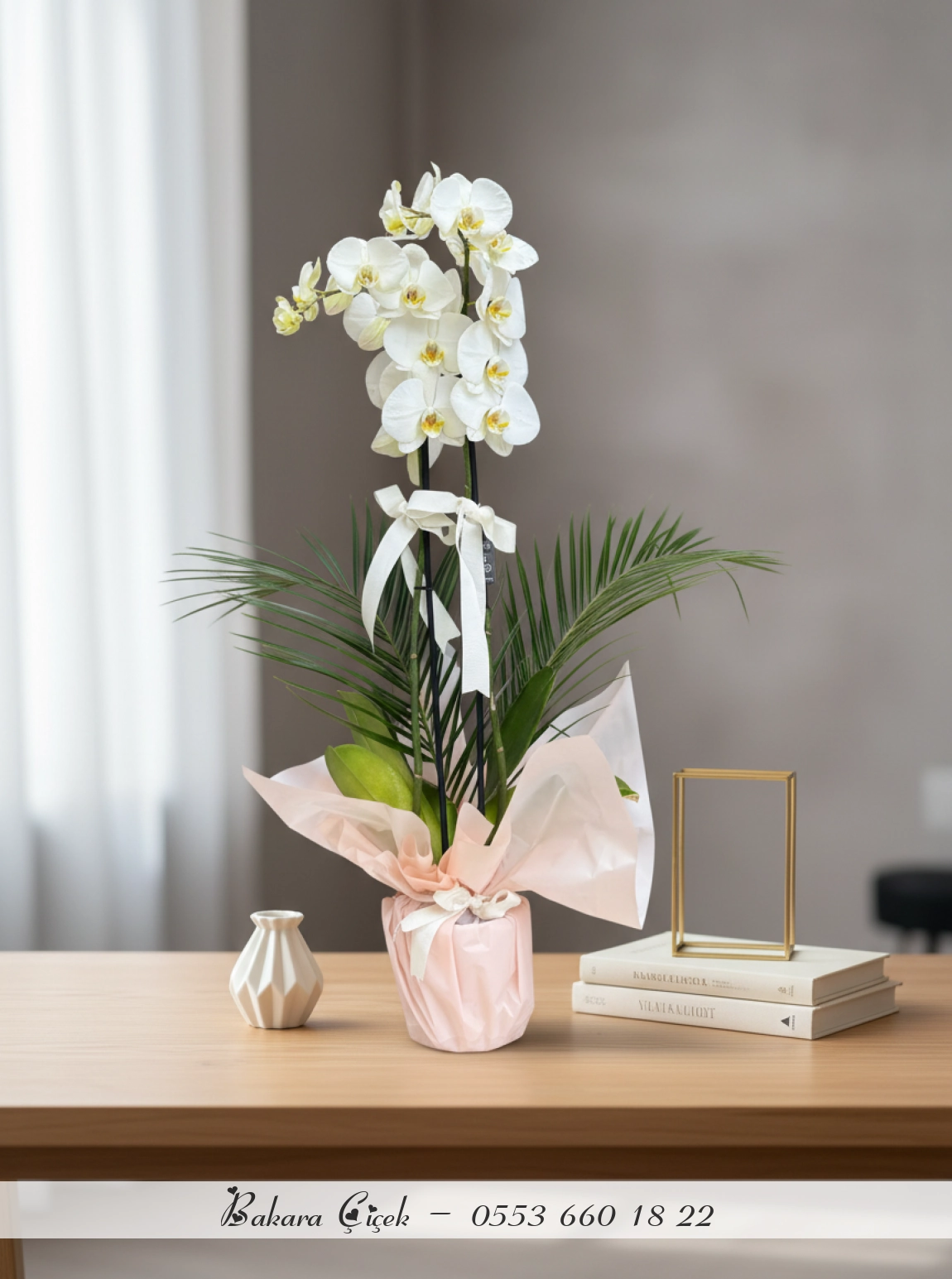 Çift Dallı  Premium Beyaz Orkide