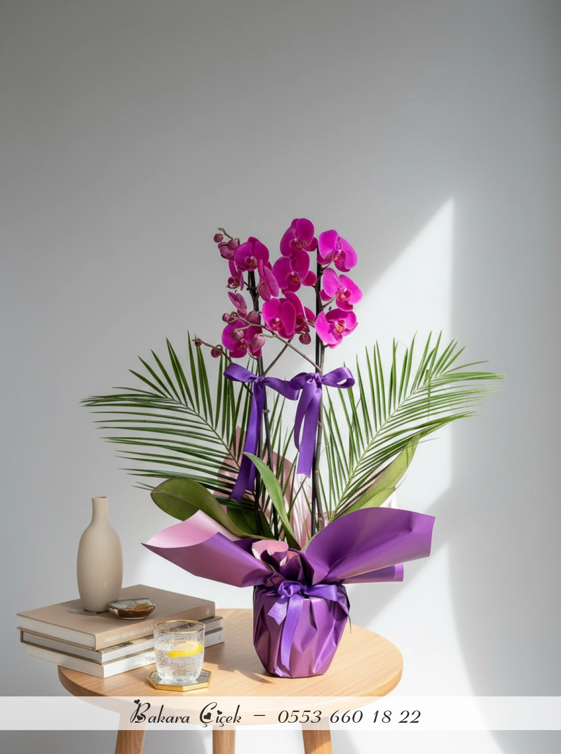 Çift Dallı Premium Mor Orkide