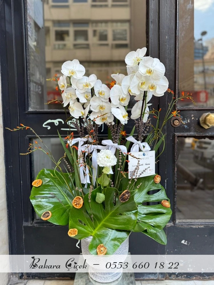 Floral