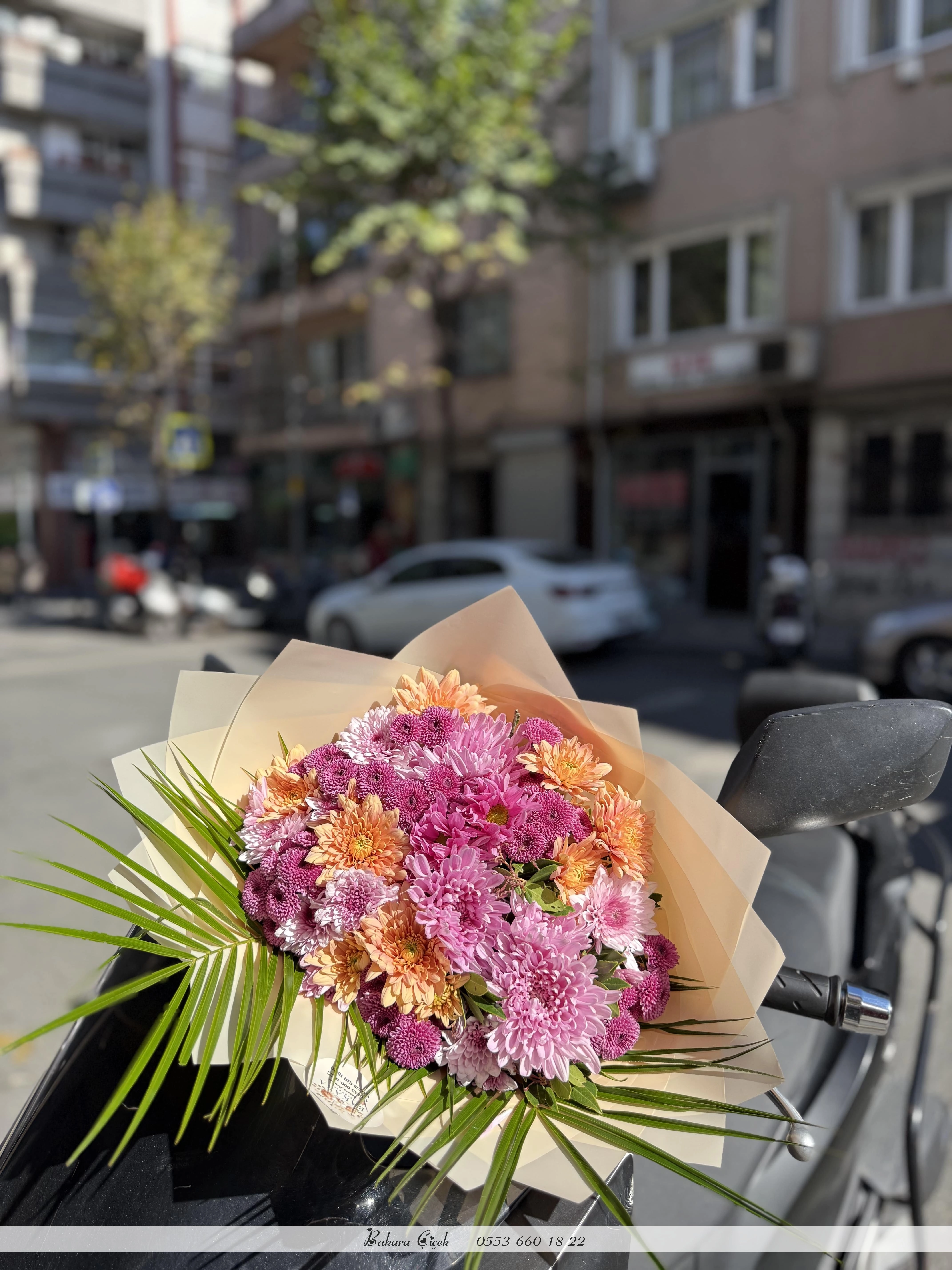 Karışık Kasımpatı Papatya