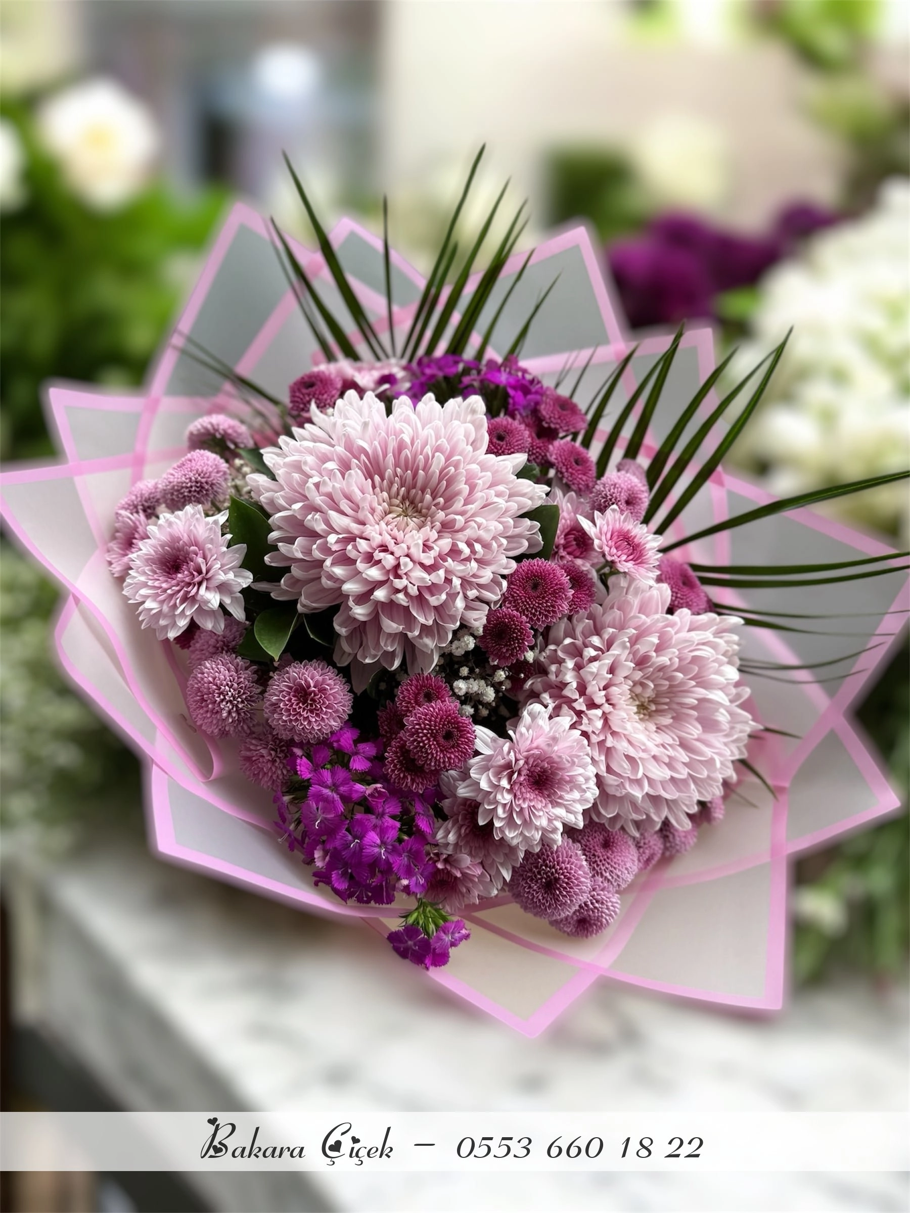 Mor 💜 Kasımpatı