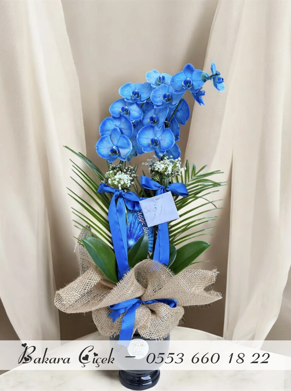 Siyah Kadeh Seramik Mavi Orkide