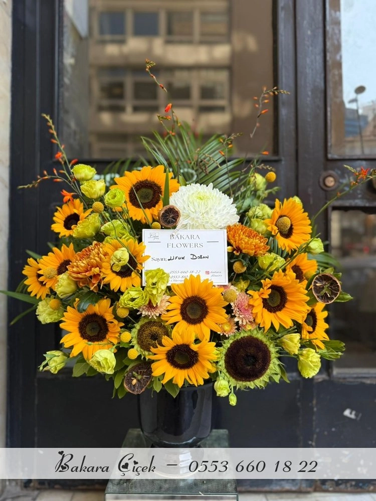 Sun Flower