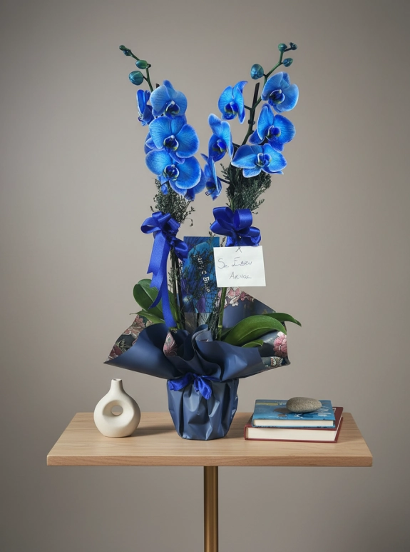 Çift Dallı Premium Mavi Orkide