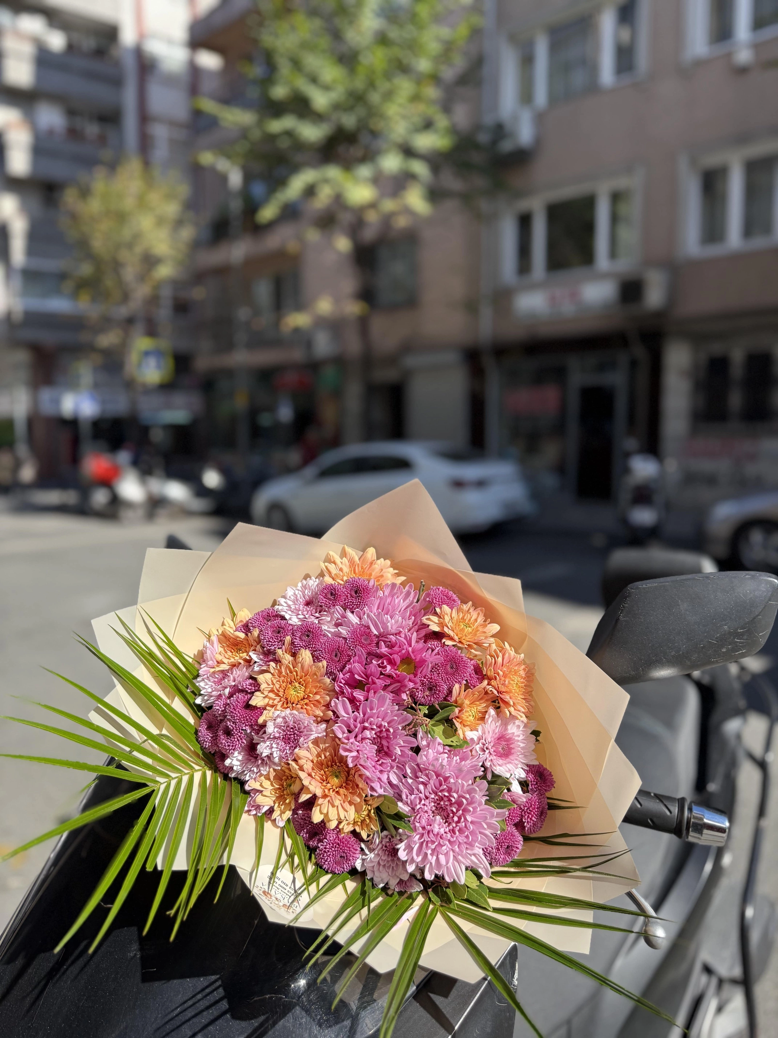 Karışık Kasımpatı Papatya