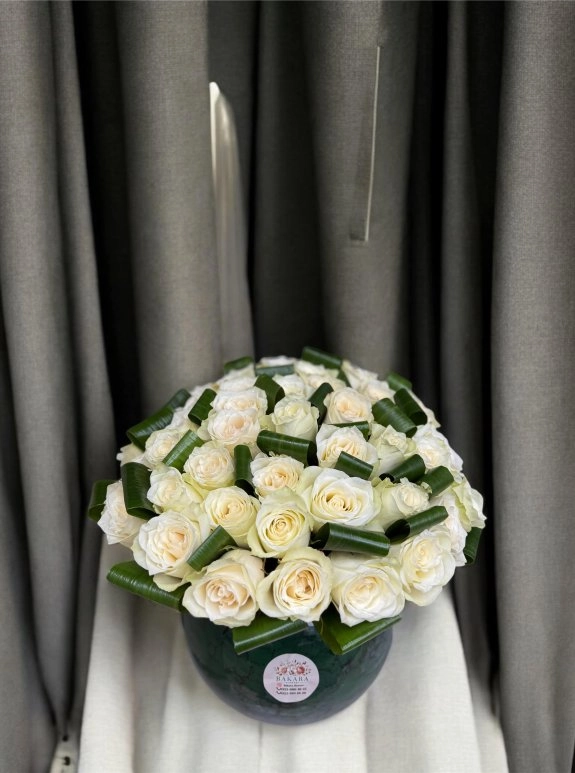 Pure Statement” 🤍✨