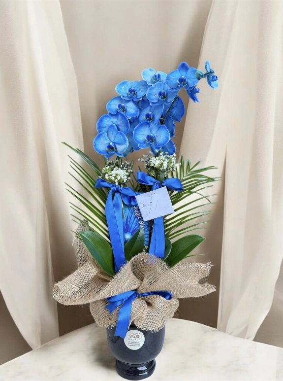 Siyah Kadeh Seramik Mavi Orkide