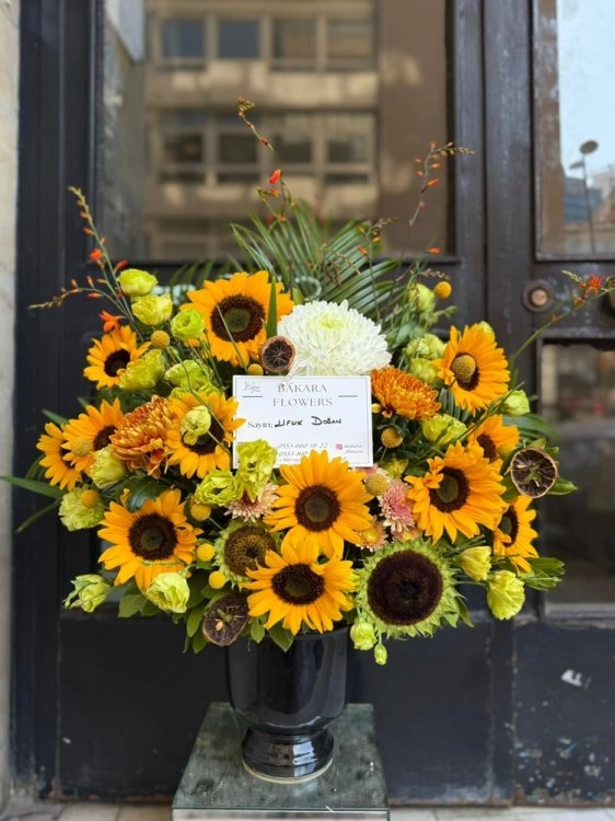 Sun Flower